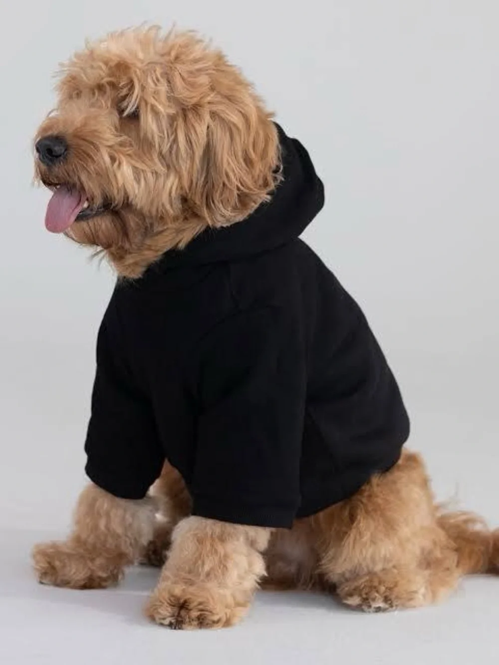 Brand NEW & RARE Jet Black COMFRT Size XL Dog Hoodie! 🐾❤️